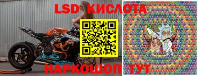 дмт Донской