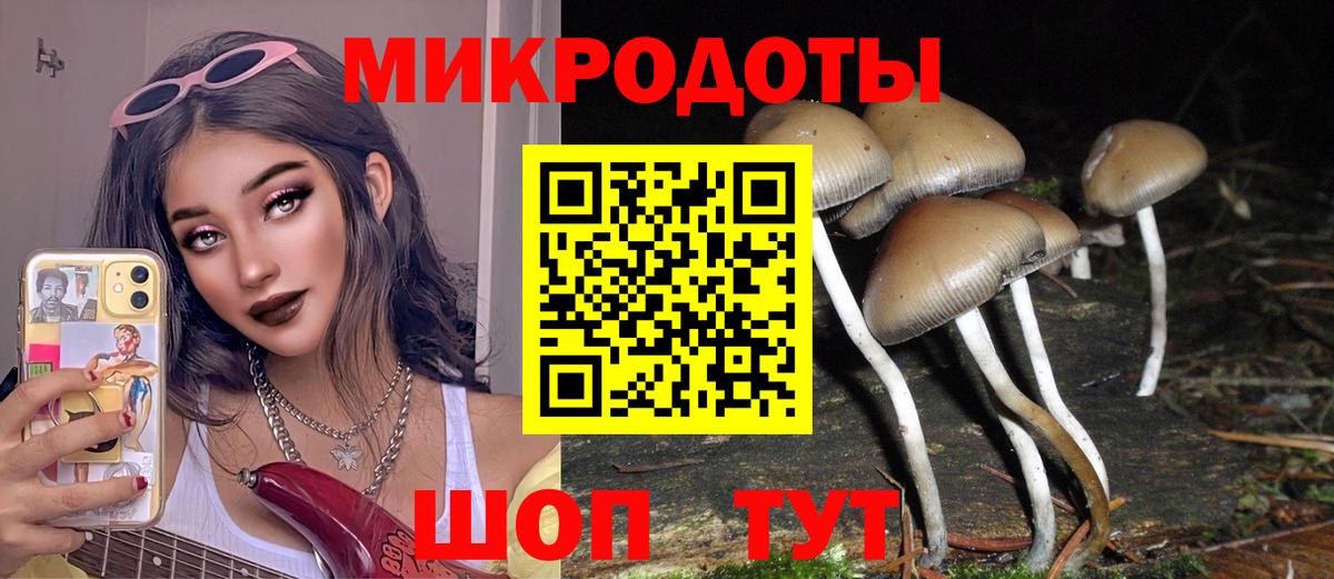 Псилоцибиновые грибы GOLDEN TEACHER Кулебаки